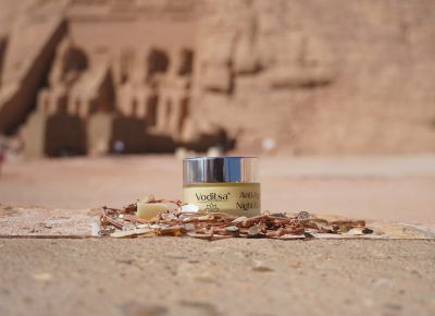 С VODITSA в Египет
